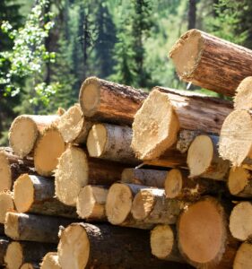 medvita wood products banner (1)